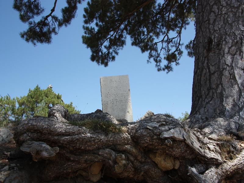 Hotel Rural Montana De Cazorla أرويو فريو المظهر الخارجي الصورة